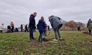 Wethouder Jan Martin van Rees helpt kinderen een boom te planten