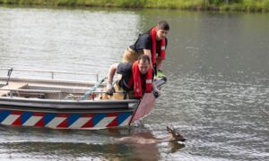 230504 hulpdiensten helpen ree