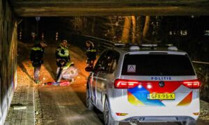 Whats App Image 2025 12 27 at 18 01 55