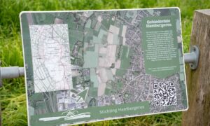 Uniek prehistorisch grafveld bij Hambergeres