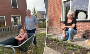 Wierden 03102026 Oost