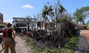 Wierden 20260710 02