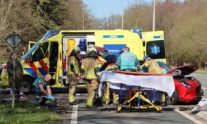 Dendekamp 20260318 01