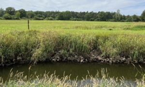 Dinkel kralen noord 1 Waterschap Vechtstromen