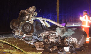 Dinkelland 20260210 01