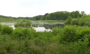 Droogte en water lonnekermeer