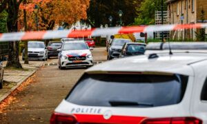 Dsi tuindorp news united 2