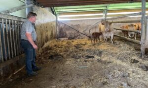 Erve groot avest boerderij landgoed twickel 2 foto gerda minkjan