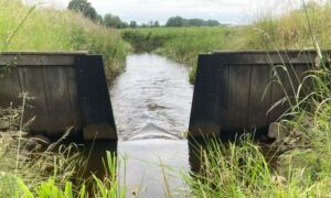 Fleringenmolenbeek pj 1 Waterschap Vechtstromen