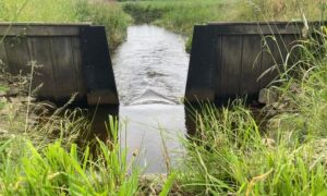 Fleringenmolenbeek pj 1