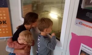 Foto fokbedrijf Brummelhuis WVHV 22