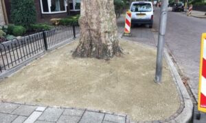 Gildebor graustabiel direct na aanbrengen 2018