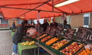 Groenteman Hans Wesselink