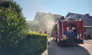 Harbrinkhoek 20250810 02