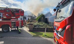 Harbrinkhoek 20260301 02