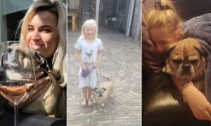 Hondje doodgereden hengelo EIGEN FOTO