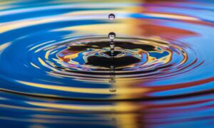 Jonathan cosens jcp 1412115 unsplash