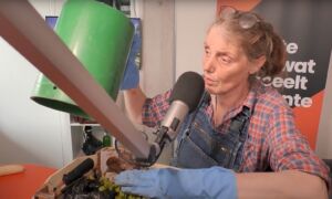 Karin vaneker wormenhotel