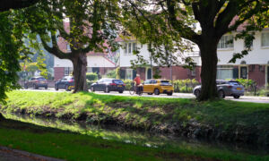 Kastanjers tuindorp t lansink gekapt