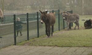 Kinderboerderij