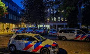 Losser 2025 brueghel 01