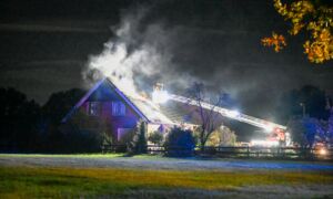 Manderveen 20261022 02