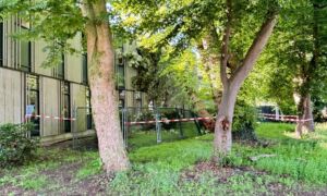 Omgevallen boom storkhek 1twente 2