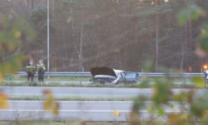 Ongeval a1 borne file bert kamp news in beeld