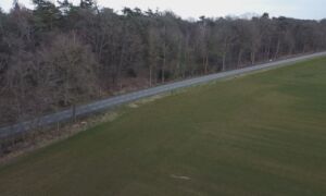 Oost weiland verkrachting