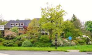 Ootmarsum wyllandrie hotel