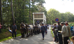 Optocht saasveld 2010