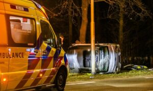 Overdinkel 20260301 02