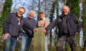 Paal 1twente beckum oele