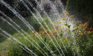 besproeiing tuin