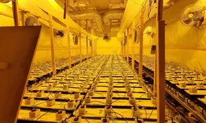 Poltie punt nl Losser 20260307