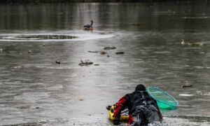 Redding gans ijs 2026 news united