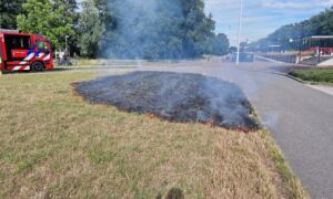 Rickoldenordkamp newsunited brand grasveldstationgezondheidspark