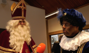 Roetveegpiet hengelo