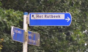 Rutbeek bord