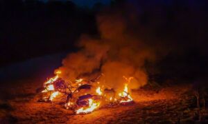 Scooters in brand 01