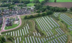 Solarpark kwekerij