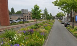 Vanbusbaan naar groen bornsestraat na