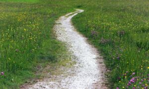 Wandelpad