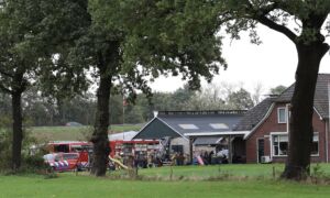 Wierden 20261024 jpg