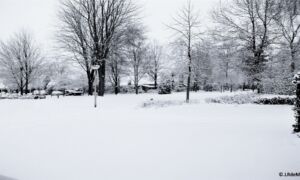 Winter sneeuw