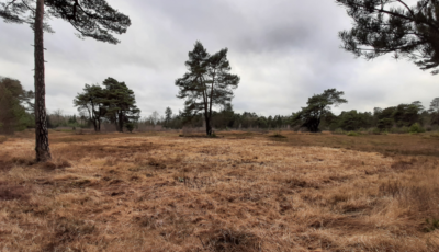 Inspiratiedag op Natuurbegraafplaats Landgoed Christinalust