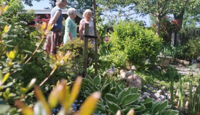 Eigenzinnige Hengelose tuinders houden Open Tuinendag
