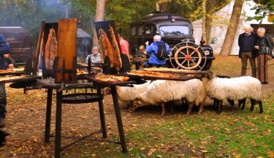 Landgoed Twente Fair De Lutte