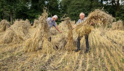 Oogstdagen bij Museumboerderij Wendezoele