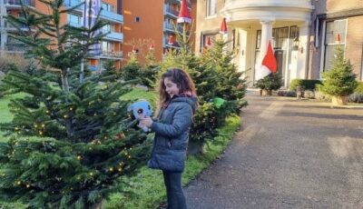 Pluk gratis een knuffel uit de kerstboom